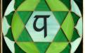Quarto Chakra