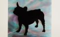 Bull Dog  Francese